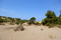 copia per ingrandire