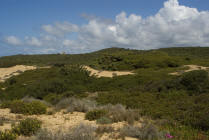 copia per ingrandire