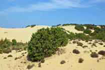 copia per ingrandire