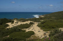 copia per ingrandire