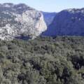 Escursione – Sardegna: Foresta di Montes, 10 maggio 2026 – Indicazioni